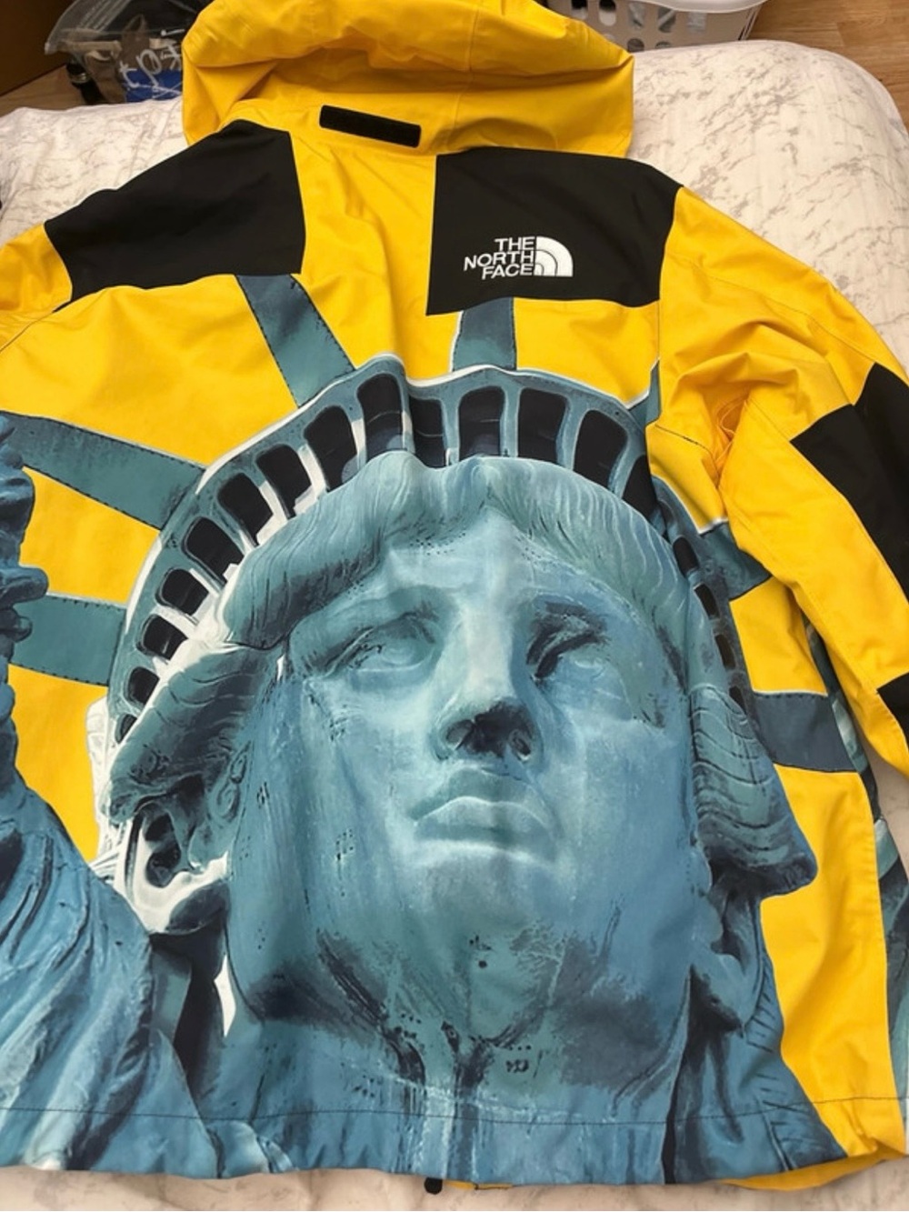 Supreme X The North Face Jacket